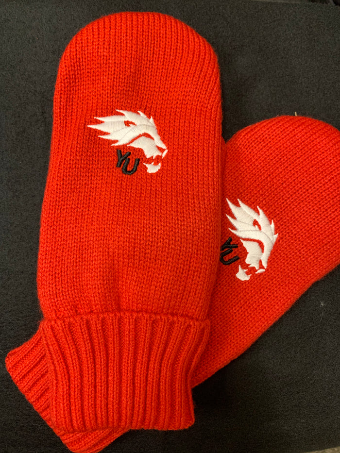 York Lions Mitts - Red