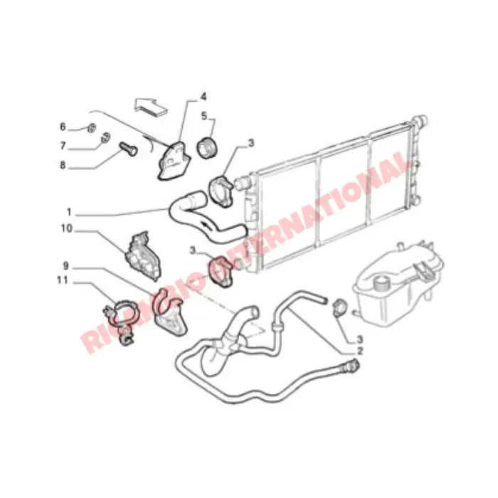 Bottom Radiator Hose - Fiat Seicento - Heating & Cooling