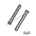 Door Hinge Pin Kit - Classic Fiat 500 - Classic Fiat 500 Parts & Spares