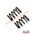 Pair of Rear Coil Spring (Standard Size) - Classic Fiat 500 R - Rear Suspension