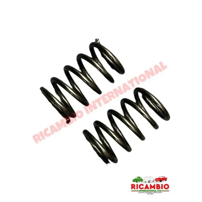 Pair of Rear Coil Spring (Standard Size) - Classic Fiat 500 R - Rear Suspension