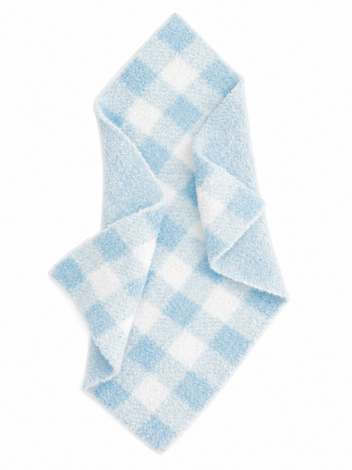 Light blue and white checkered dish towel folded in a diamond shape on a white background.