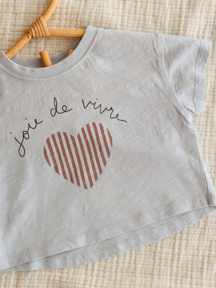 Light gray cropped t-shirt with "joie de vivre" text and a striped heart graphic, hanging on a wooden hanger.