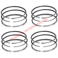 Set Piston Rings (STD 77mm) - Lancia Fulvia - Lancia Fulvia