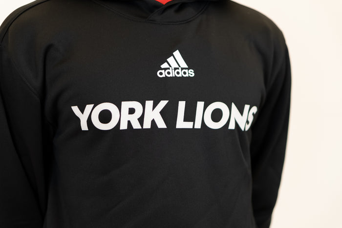 Adidas Team Issue Pullover Hoodie