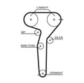 Timing Belt - Fiat Coupe,Bravo,Marea - Engine Parts