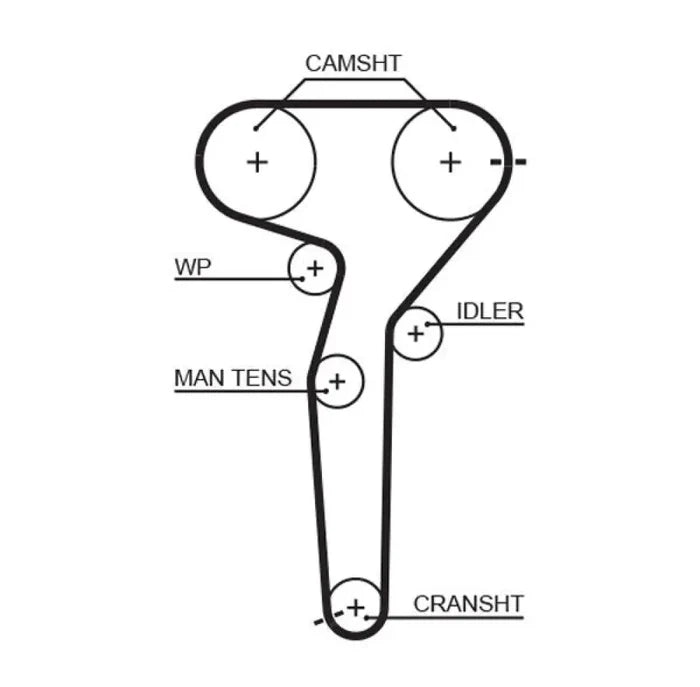 Timing Belt - Fiat Coupe,Bravo,Marea - Engine Parts